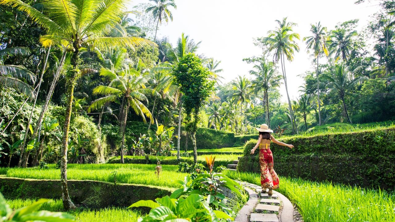 Bali Landscape 1